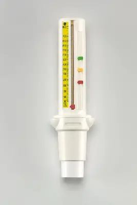 Produktbild für OMRON Peak Flow Meter PFM20