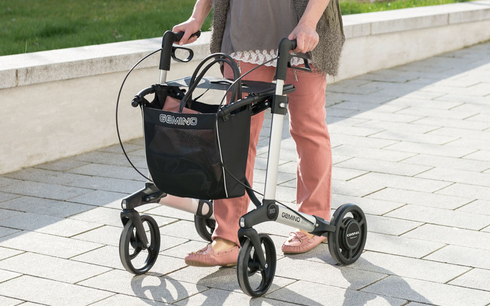 feature gemino 30 speed control walking es